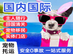厦门机场快运国际宠物托运 【国